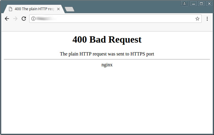 Nginx The Plain HTTP Request Was Sent To HTTPS Port 